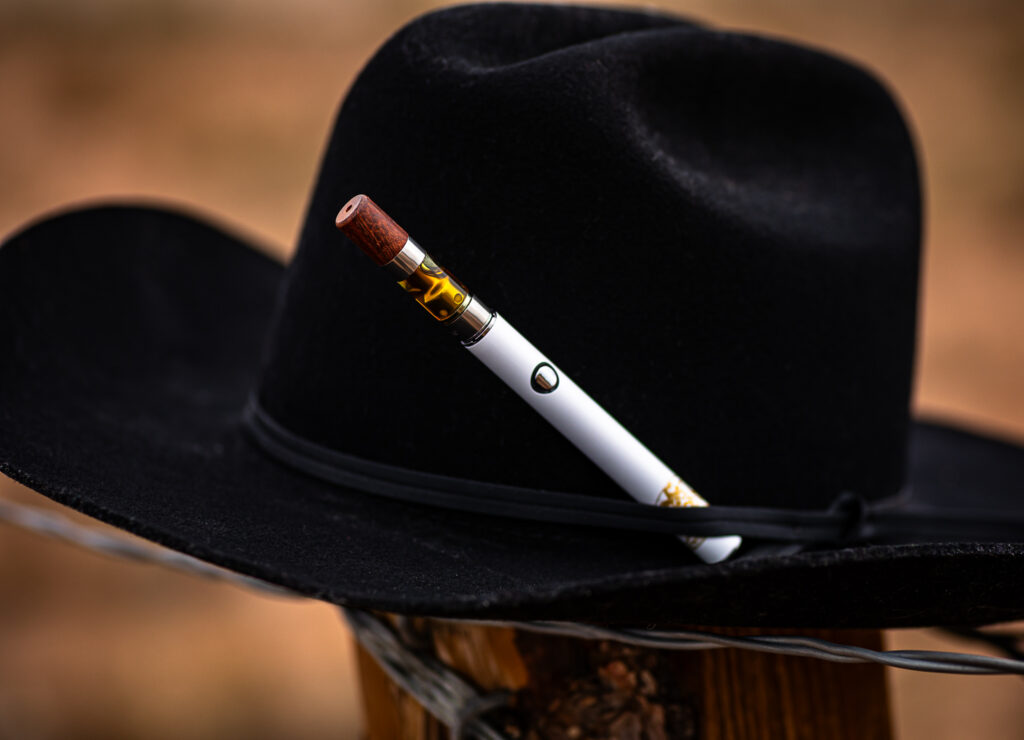 Outlaw-1022 Outlaw 1022 1024x740